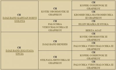      ( GALAXIE D`AMOUR  CAMARADE CAPONE) 11.12.2008