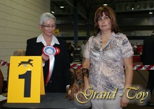 Unsere Ergebnisse auf INTERNATIONALE DOG SHOW 81 in Luxemburg.