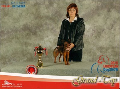 3.10.2010 CELJE-SLOVENIA.EUROPEAN DogSHOW