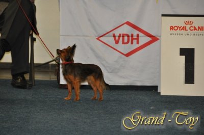 Unsere Ergebnisse auf BUNDESSIEGER-AUSSTELLUNG  DORTMUND   15.10.2010
