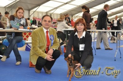 3.10.2010 CELJE-SLOVENIA.EUROPEAN DogSHOW