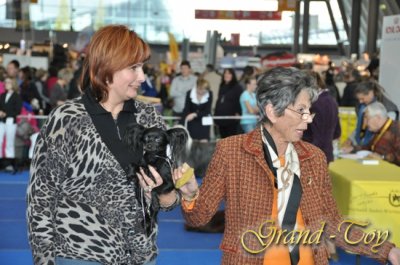 Unsere Ergebnisse auf Internationale Hundeausstellung in Stuttgart-66.IRAS 2010