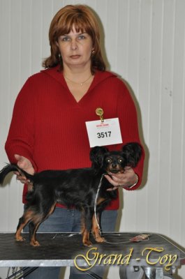 Unsere Ergebnisse auf Internationale Hundeausstellung in Kassel