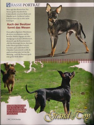 HUNDETRENDMAGAZIN "DOGStoday"(Russkiy Toy)