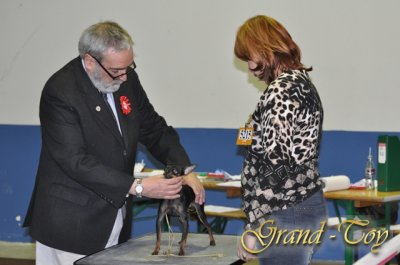 Unsere Ergebnisse auf INTERNATIONALE DOG SHOW 82 in Luxemburg.