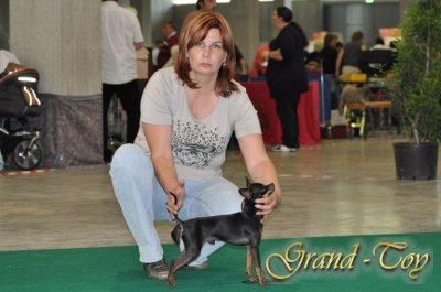 Unsere Ergebnisse auf INTERNATIONALE DOG SHOW in St.Gallen (Schweiz)