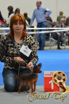 Unsere Ergebnisse auf 84 INTERNATIONALE DOG SHOW  in Luxemburg am 01.04.2012.