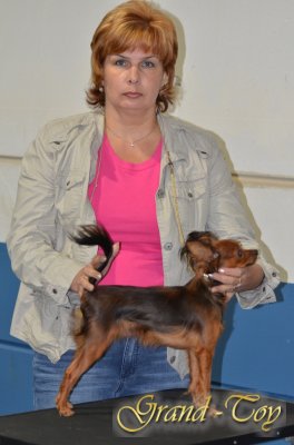 Unsere Ergebnisse auf  INTERNATIONALE DOG SHOW 85 in Luxemburg am 01.09.2012.