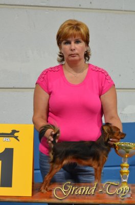 Unsere Ergebnisse auf  INTERNATIONALE DOG SHOW 85 in Luxemburg am 01.09.2012.