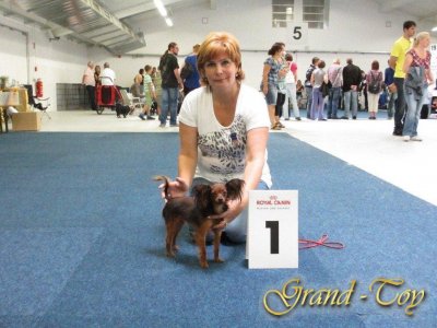 Unsere Ergebnisse auf  INTERNATIONALE Rassehunde-Ausstellung in Gie&#223;en  am 02.09.2012.