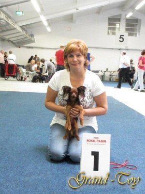 Unsere Ergebnisse auf  INTERNATIONALE Rassehunde-Ausstellung in Gie&#223;en  am 02.09.2012.