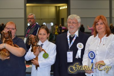 Unsere Ergebnisse auf WORLD DOG  SHOW in Leipzig am 10.11.2017